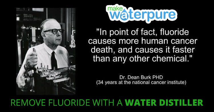 Fluoride in water causes cancer